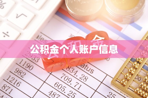 康乐公积金个人账户信息