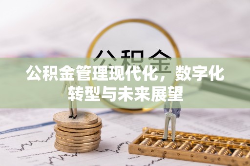 康乐公积金管理现代化，数字化转型与未来展望