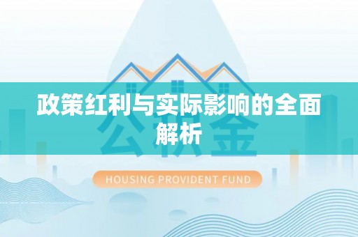 康乐政策红利与实际影响的全面解析