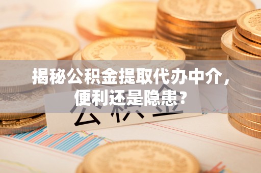 康乐揭秘公积金提取代办中介，便利还是隐患？
