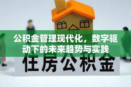康乐公积金管理现代化，数字驱动下的未来趋势与实践