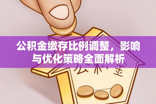 康乐公积金缴存比例调整，影响与优化策略全面解析