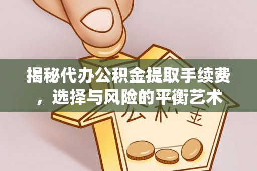 康乐揭秘代办公积金提取手续费，选择与风险的平衡艺术