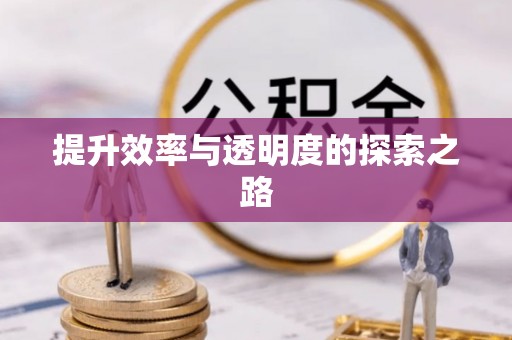 康乐提升效率与透明度的探索之路