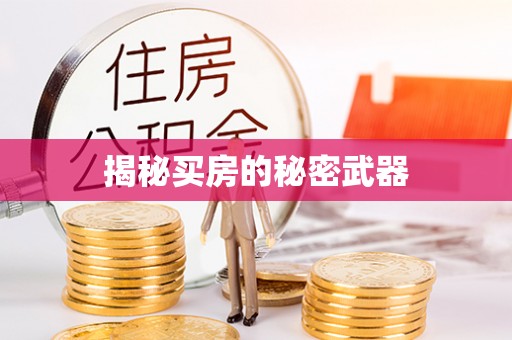 康乐揭秘买房的秘密武器