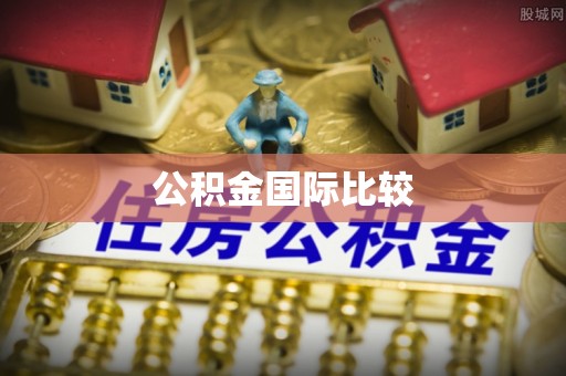 康乐公积金国际比较