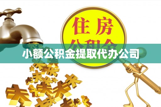 康乐小额公积金提取代办公司