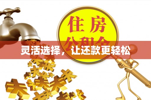 康乐灵活选择，让还款更轻松