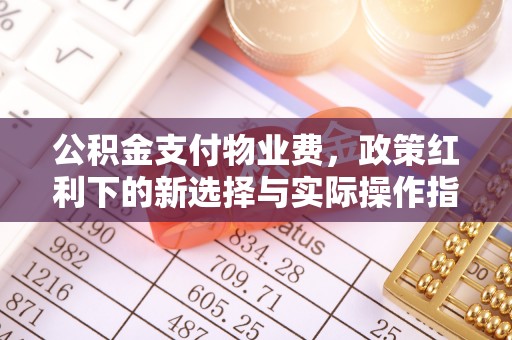康乐公积金支付物业费，政策红利下的新选择与实际操作指南