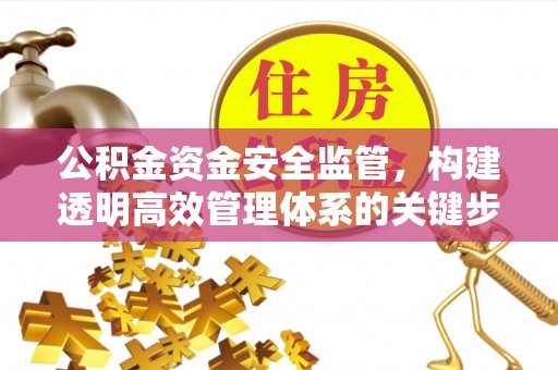 康乐公积金资金安全监管，构建透明高效管理体系的关键步骤