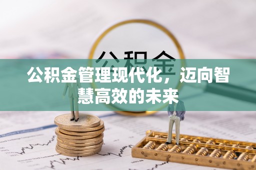 康乐公积金管理现代化，迈向智慧高效的未来