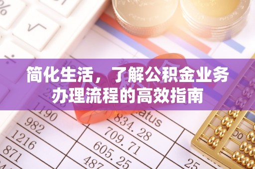 康乐简化生活，了解公积金业务办理流程的高效指南