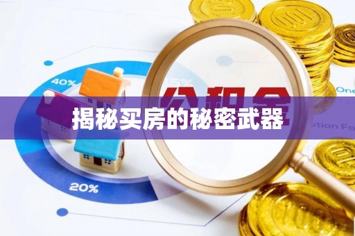 康乐揭秘买房的秘密武器