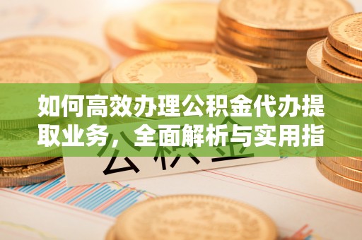 康乐如何高效办理公积金代办提取业务，全面解析与实用指南
