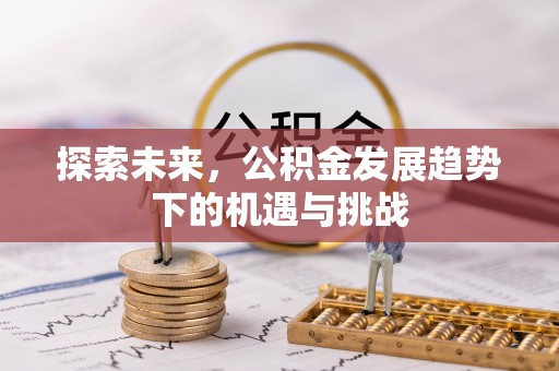 康乐探索未来，公积金发展趋势下的机遇与挑战