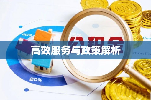 康乐高效服务与政策解析