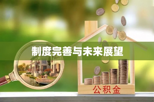 康乐制度完善与未来展望