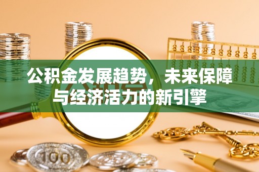 康乐公积金发展趋势，未来保障与经济活力的新引擎