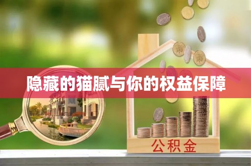 康乐隐藏的猫腻与你的权益保障