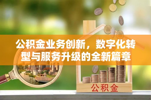 康乐公积金业务创新，数字化转型与服务升级的全新篇章