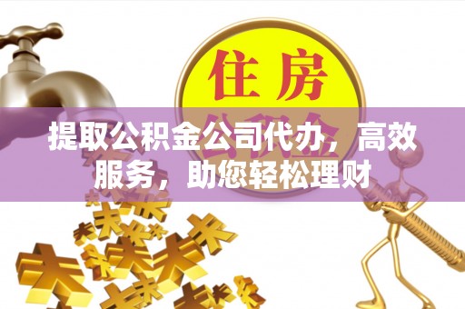 康乐提取公积金公司代办，高效服务，助您轻松理财