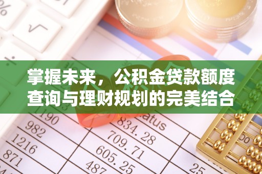 康乐掌握未来，公积金贷款额度查询与理财规划的完美结合