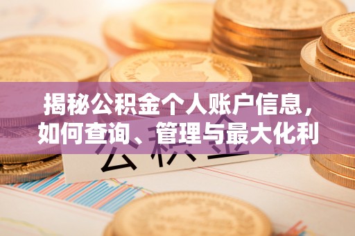 康乐揭秘公积金个人账户信息，如何查询、管理与最大化利用