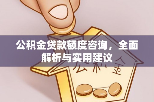 康乐公积金贷款额度咨询，全面解析与实用建议
