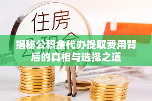 康乐揭秘公积金代办提取费用背后的真相与选择之道