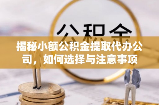 康乐揭秘小额公积金提取代办公司，如何选择与注意事项