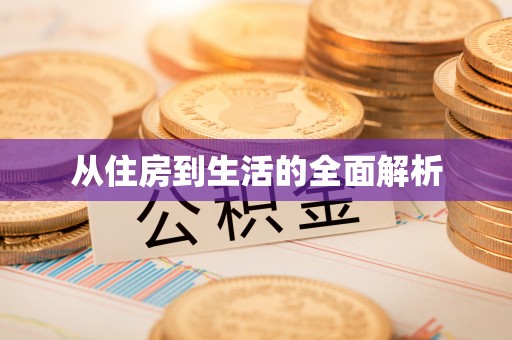 康乐从住房到生活的全面解析