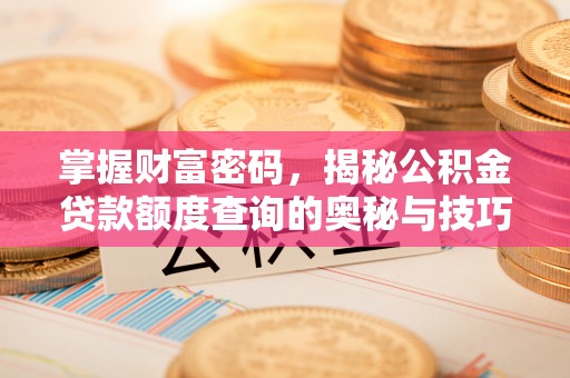 康乐掌握财富密码，揭秘公积金贷款额度查询的奥秘与技巧