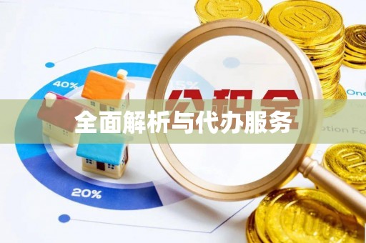 康乐全面解析与代办服务
