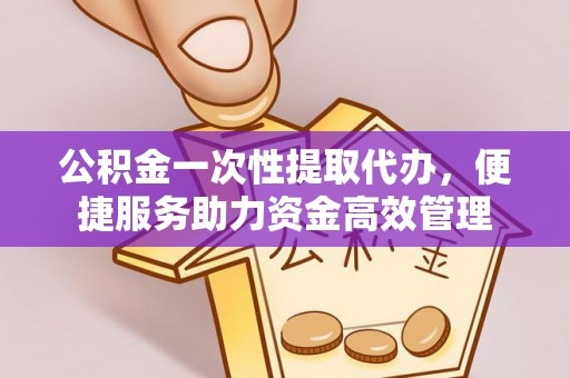 康乐公积金一次性提取代办，便捷服务助力资金高效管理