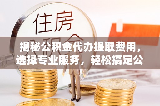 康乐揭秘公积金代办提取费用，选择专业服务，轻松搞定公积金提取