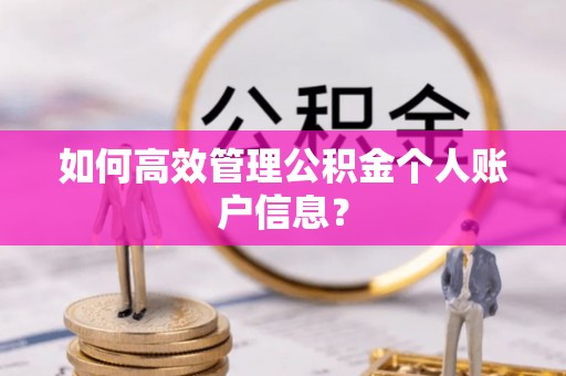 康乐如何高效管理公积金个人账户信息？