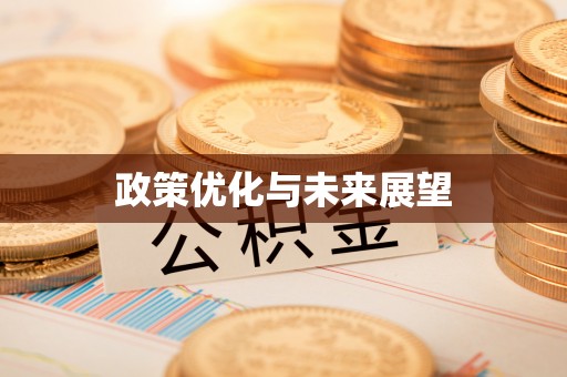 康乐政策优化与未来展望