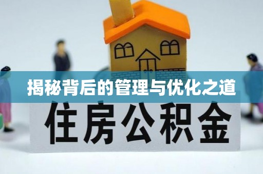 康乐揭秘背后的管理与优化之道