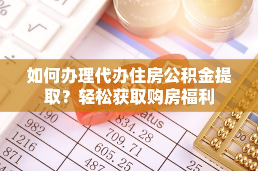 康乐如何办理代办住房公积金提取？轻松获取购房福利