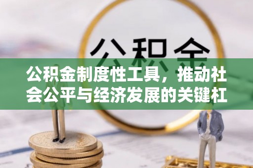 康乐公积金制度性工具，推动社会公平与经济发展的关键杠杆