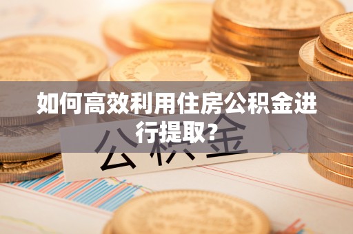 康乐如何高效利用住房公积金进行提取？