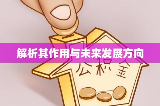 康乐解析其作用与未来发展方向