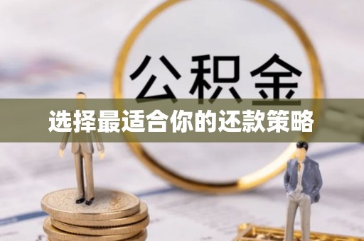 康乐选择最适合你的还款策略