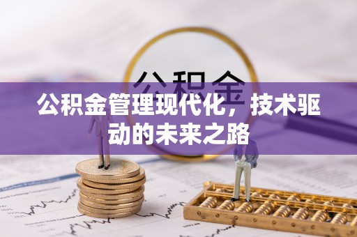 康乐公积金管理现代化，技术驱动的未来之路